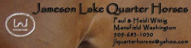 jameson lake quarter horses